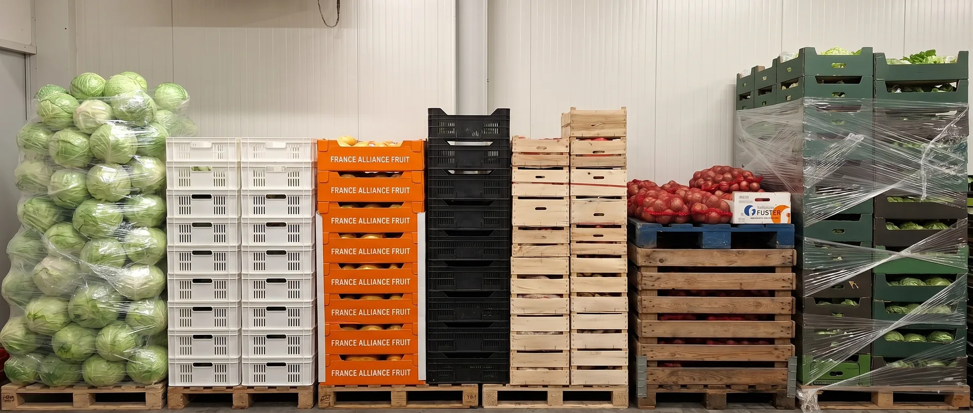Warehouse with fruit and vegetable assortment